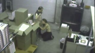 Secretary gets down & dirty sucking cock